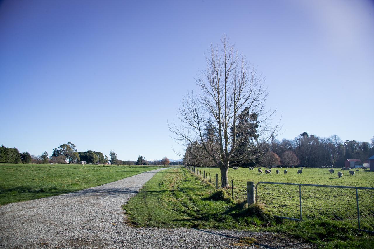 Villa Estate - The Whare *