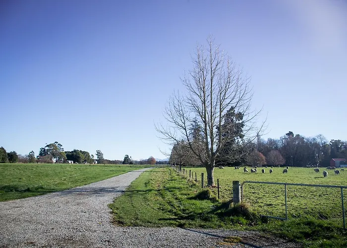 Coldstream Estate - The Whare